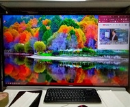 4K Ultra HD 液晶顯示器 BDM4350UC/96