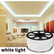 Lucky 5730 Strip Light 120 LED Light Waterproof Flexible Light