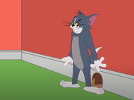 đĩa dvd phim hoạt hìnhdvd Tom and Jerry -Vol1 tổng hợp nhiều tập hay xem trong 2 tiếng