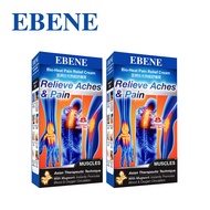 EBENE Bio-Heat Pain Relief Cream 50g x 2