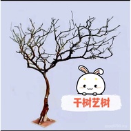 T Tree Log View White Modeling Wishing Tree Making Dead Trunk Branches Trunk xyt Trunk Branches Indo