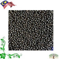 Ulunthu Hitam (whole) // Urad Dal Black