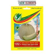 GE 1352 F1 Sweetie Green Mask Melon Seed/ F1 Melon Susu Hijau Manis Benih (8 seeds)
