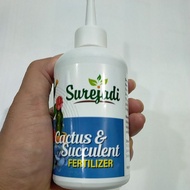 Cactus & succulent fertilizer best cactus and succulent steel/