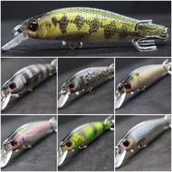 wLure 9g 8cm 0.5 Meter Depth Lifelike Painting 2 Black Nickle #8 Cutting Blade Hooks 3D Hard Eyes Mi