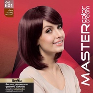 (ตัดฝา) สีผมดีแคช รุ่น มาสเตอร์ (โฉมใหม่ )  Dcash Master  สีย้อมผม ครีมย้อมผม ยาย้อมผม (สีพร้อมไฮ) ข