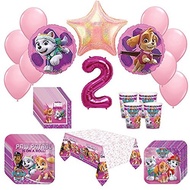 Girl Pups Paw Patrol Skye &amp; Everest 2st Birthday Party Pack 52pc