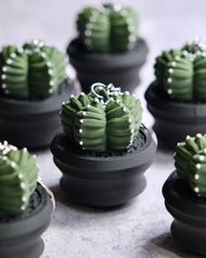 龜甲鸞鳳玉按键鎖匙扣 鑰匙圈/吊飾/多肉塊根/辦公室擺設/盆栽