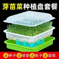 Bean Sprout Germination Pot Sprout Seedling Vegetable Seedling Tray Bean Sprout Germination Pot Bean
