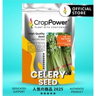(200 GRAM) Biji Benih Daun Sup Saderi Big Salary 大薪 CE101 CROP POWER Celery seeds 芹菜 CE 101