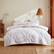1pc Fluffy & Warm Floral Pattern All-Season Comforter, Cloud-Like Soft Down Alternative Duvet Insert