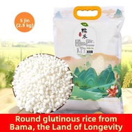SHILANG | Farm-Grown White Round Glutinous Rice 2.5kg