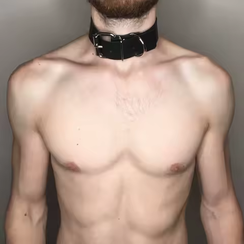 Men Black Faux Leather Arm Rings Collar Harness Gothic Punk Clothing Male BDSM Bondage Restraint Set