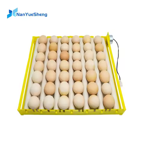 Automatic 360 Degree Rotary Egg Turner Roller Tray Duck Quail Bird Poultry Eggs Hatching Incubator F