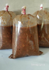 Tauco Medan Tauco Asin Bumbu Masak