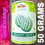 SWEET 16 F1 HYBRID WATERMELON SEEDS (50 GRAMS) EAST WEST SEEDS