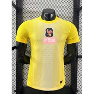 2025-26 T-Shirt France Goalkeeper Player Soccer Jersey