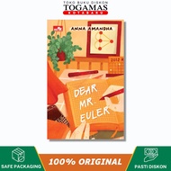 Dear Mr. Euler - Anna Amasha