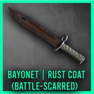 CSGO KNIFE SKIN -  ★ Bayonet | Rust Coat