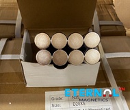 Nam châm đất hiếm dạng hình tròn D20x5mm Mạ Niken lực hít mạnh grade N35 (có sai số)