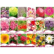 Pelbagai benih bunga mudah tumbuh flower seeds bunga cantik tanam Fw002花种子 flower seeds 植物种子现货
