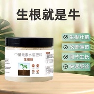 Tool Root Powder Strong Root Powder Dead Seedling Root Root Root Plant Universal Fruit Tree Transpla