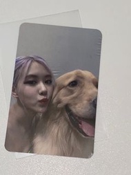 Rose 小卡