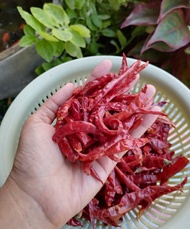 พริกจินดาแห้ง (แบบไม่มีกาน) พริกขี้หนูเม็ดใหญ่ สีแดง สะอาด  (พร้อมส่ง)