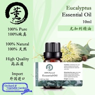 Lemon Eucalyptus Essential Oil Lemon Eucalyptus Essential Oil 10ml Essential Oil Aromatherapy Massag