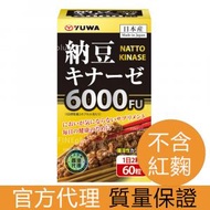 YUWA - 速效降醇 日本高濃度活性納豆激酶 6000FU 不含紅麴 (60粒腸溶性軟膠囊) 30天分量 / 日本官方授權香港代理