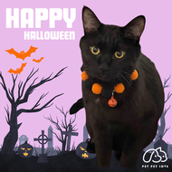 PET PET LOVE - 萬聖節寵物黑橙波波頸圈 洞洞眼南瓜 S碼 萬聖節狗狗頸圈 萬聖節衣服 萬聖節貓貓頸圈 萬聖節貓頭套 寵物萬聖節衣服