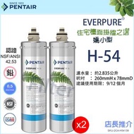 愛惠浦 - EVERPURE H54 替換濾芯 H-54 x2 (EV973006) 濾芯通用 H-104 H104