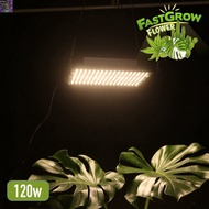 [สินค้าพร้อมจัดส่ง]⭐⭐120W V1-3ไฟปลูกต้นไม้ ไฟปลูกพืช 3500k + 660nm LED growlight[สินค้าใหม่]จัดส่งฟรีมีบริการเก็บเงินปลายทาง⭐⭐