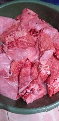 PARU SAPI HALAL PREMIUM FROZEN FRESH SEGAR BEKU BERSIH LUNG MENTAH