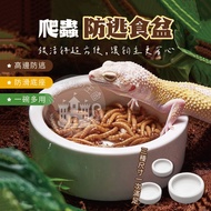 [Kingdom of Little Tricksters] Reptiles Anti-Escape Food Bowls Reptiles Small Objects Reptiles Suppl