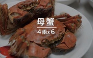 【頭等獎預購！湧哥黃金大閘蟹 - 母蟹 4兩ｘ6隻】苗栗在地養殖 有產銷身分證的螃蟹！