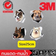 Sticker 3M (021) 3D หมา แมว dog cat สติ๊กเกอร์ 3 มิติ ติดรถยนต์ ผนัง กระจก สุขภันฑ์ ห้องน้ำ Petsh