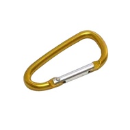 Small Carbina Gold W49d25h4mm/D-Ring S
