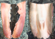 全心鮮魚丸_無刺虱目魚肚【大片180g~ 200g】無刺好料理，嚴選新鮮且鮮甜（煮湯、油煎、煮粥）