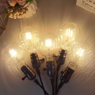 LED Bulb Japan 1V E26 ST64LED Antique Bulb Gold Transparent Warm Light Filament Lamp