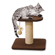 2-LAYER SCRATCH HEAD FOR CATS