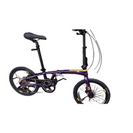 XDS 20 " Alloy Folding Bike 10 Speed (K3-2)