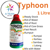 Typhoon Racun Rumput Lalang (Sama dengan Ken up / Round up / EB GLY ) Glyphosate 1L