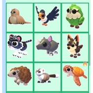 Adopt me new egg realeased  Endangered egg endangered pets