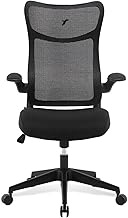 TT Airflex V2 Ergochair Home Office Mesh Chair Executive Ergonomics Chair (Graphite Black)