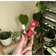 (tiny Mini) Benefit lip tint& cheek satin color Benetint 2ml