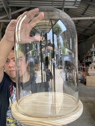 โดมแก้ว ขนาด20x30cm หรือ 8x12นิ้ว ฐานไม้ Glass Dome โชว์ของที่ระลึก โมเดล ดอกไม้ ตกแต่งบ้าน โดมพระ อ