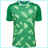JX1 Euro 2024 Denmark national team goalkeeper Jersey Child Adult Fan Football Tshirt Plus Size gree