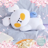 KAKAO FRIENDS ANKOKOANKO BABY PILLOW