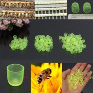 100x Beekeeping Queen Cell Cups Royal Jelly Cups Queen Rearing Equip Plastic Tools
